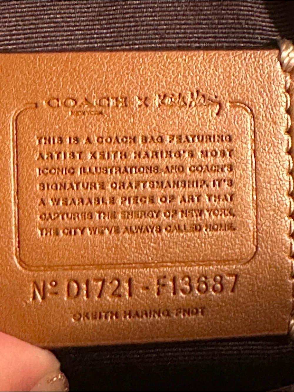 Coach x Keith Haring LOVE double zip crossbody bag